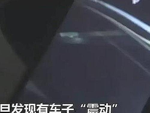 杭州爆料最新事件真相,揭秘背后惊人内幕